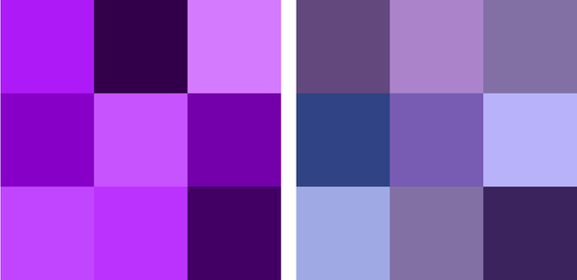 blue-vs-purple-shampoo-what-s-the-difference-fudge-professional